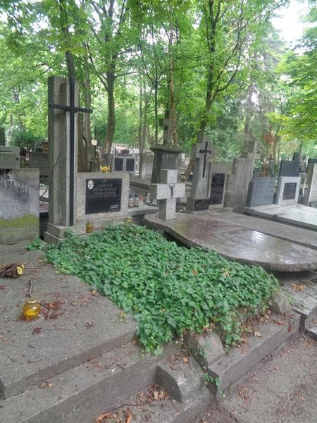 Zdjęcie grobu: Zofia Urban