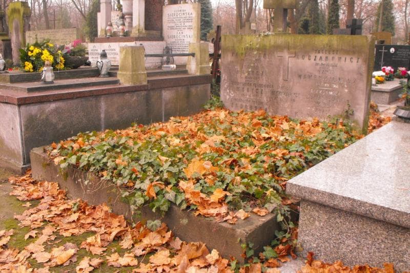 Zdjęcie grobu Zofia Koczanowicz (1)