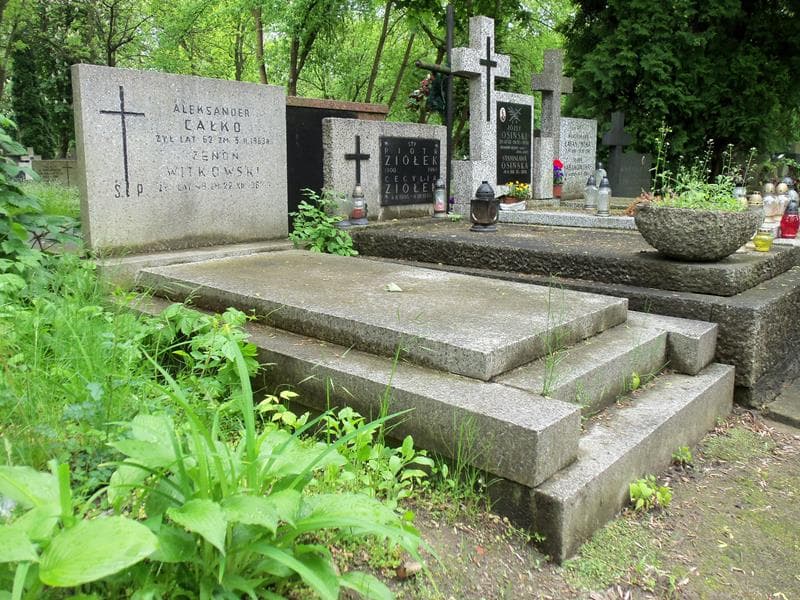 Zdjęcie grobu Aleksander Całko (1)