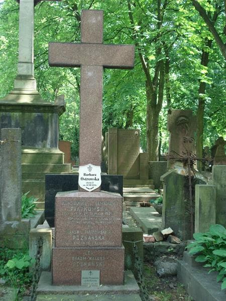 Zdjęcie grobu Konstancja Piątkowska (2)