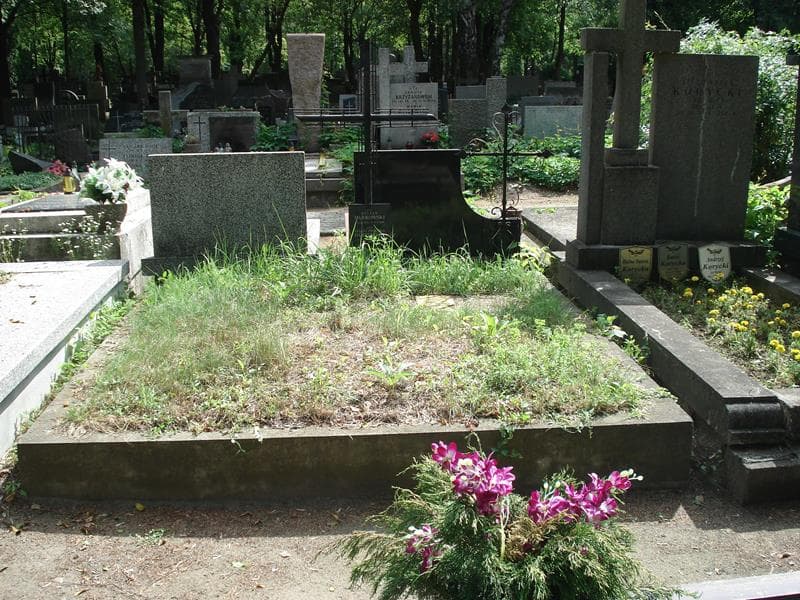 Zdjęcie grobu: Stefan Dąbrowski