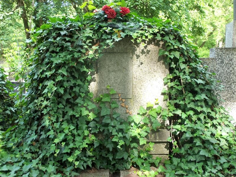 Zdjęcie grobu Joanna Twarowska (2)