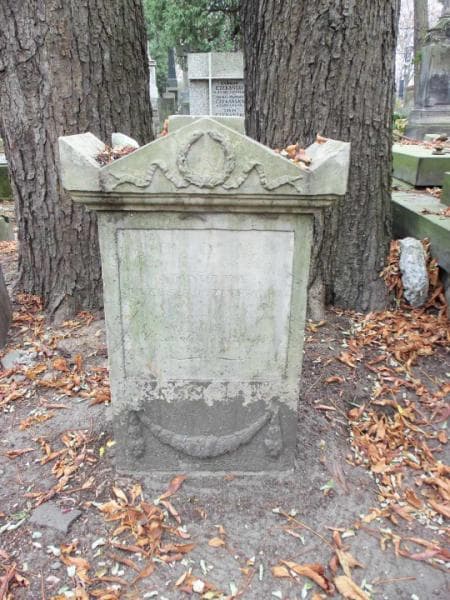 Zdjęcie grobu Stanisław Przeszkodziński (1)
