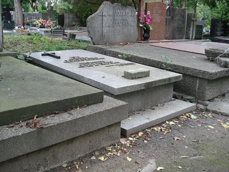 Zdjęcie grobu Helena Przyłuska (1)