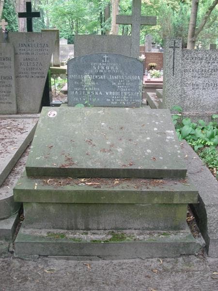 Zdjęcie grobu Jadwiga Maria Majewska (1)