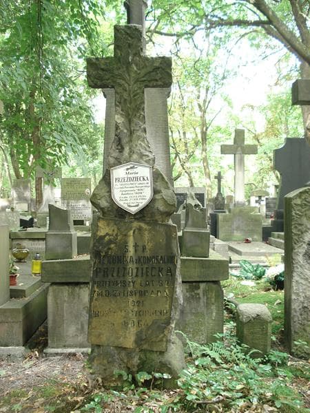 Zdjęcie grobu Maria Przezdziecka (2)