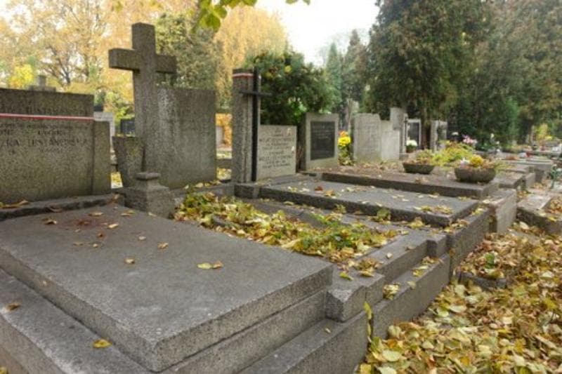 Zdjęcie grobu Zofia Taberska (1)