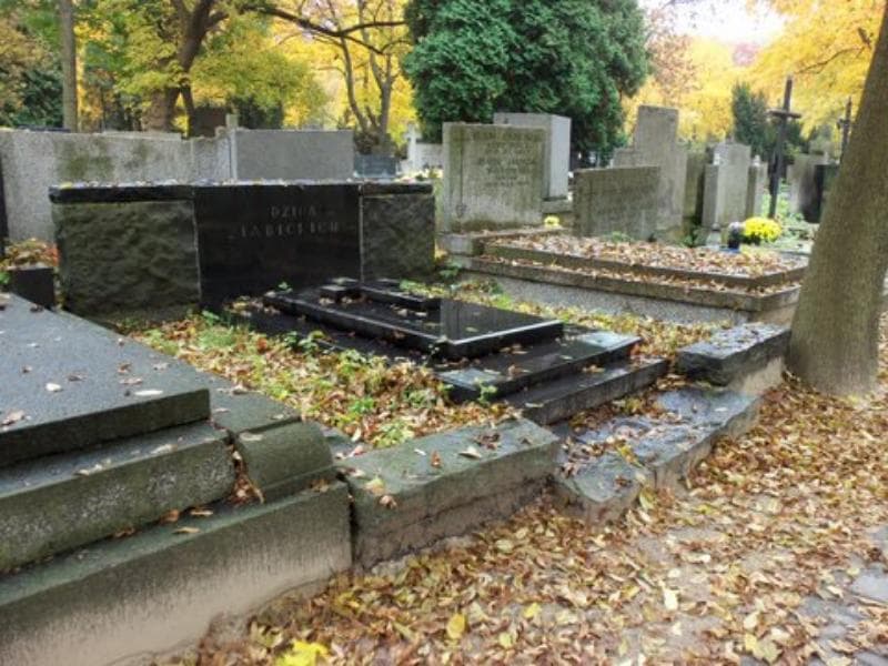 Zdjęcie grobu Ziabiccy (1)