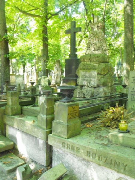 Zdjęcie grobu Józef Mędrzecki (2)