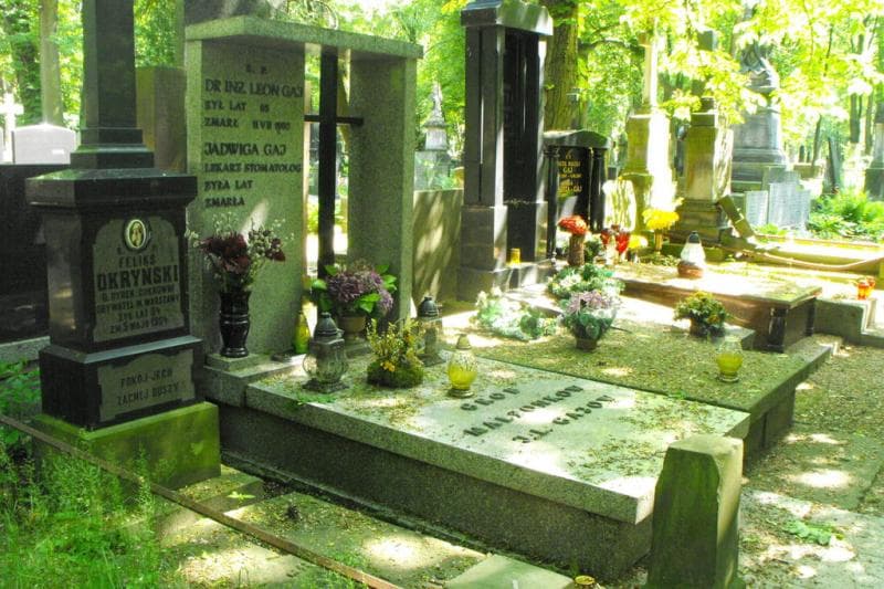 Zdjęcie grobu Zofja Okryńska (1)