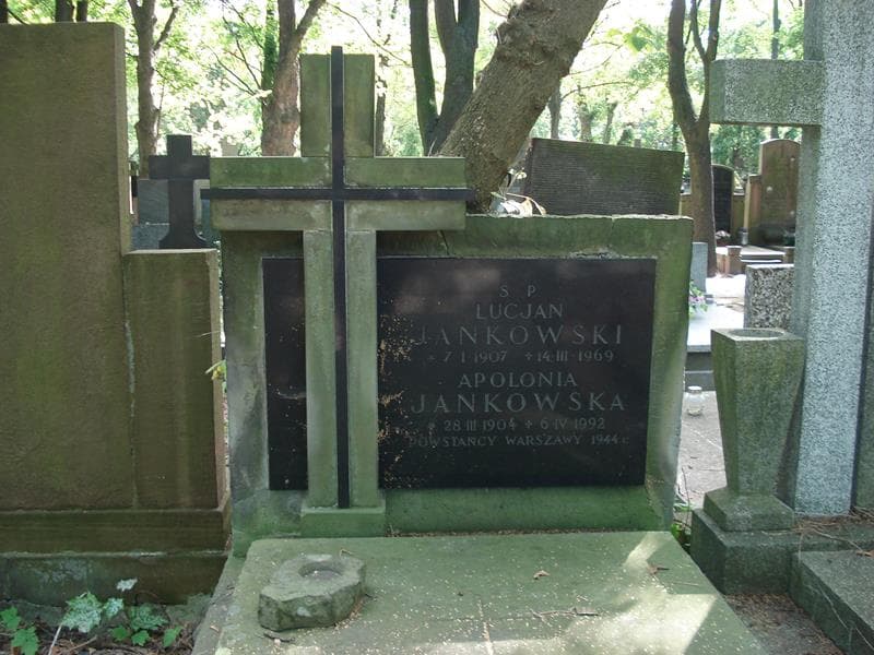 Zdjęcie grobu Franciszek Jankowski (2)