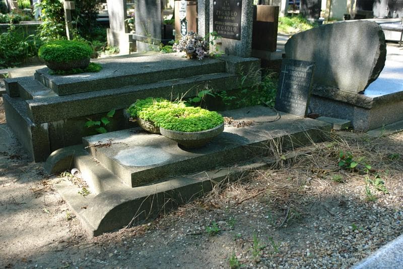 Zdjęcie grobu: Bronisława Boguszowa