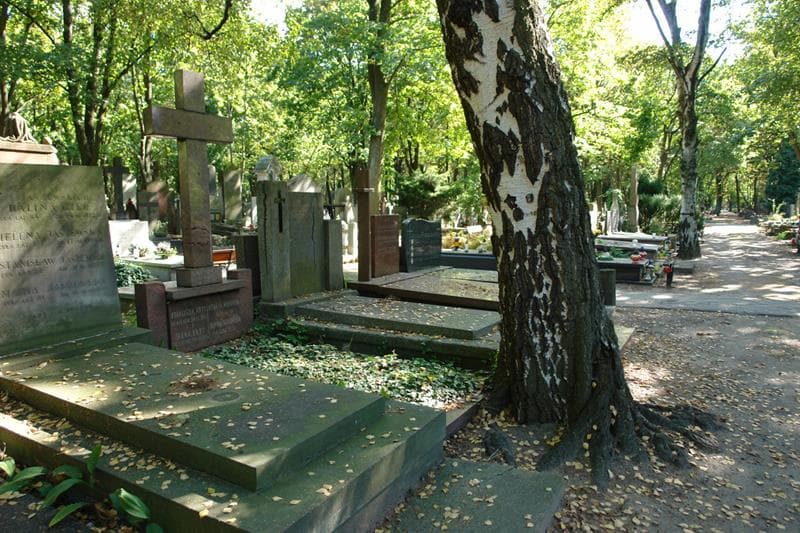 Zdjęcie grobu Irena Kryt (1)