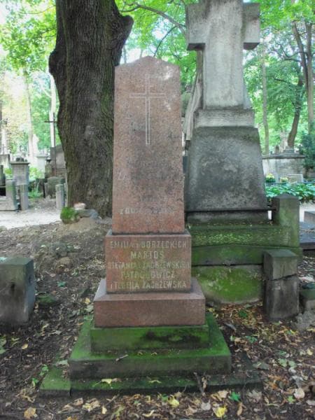 Zdjęcie grobu Stefania Patronowicz (1)
