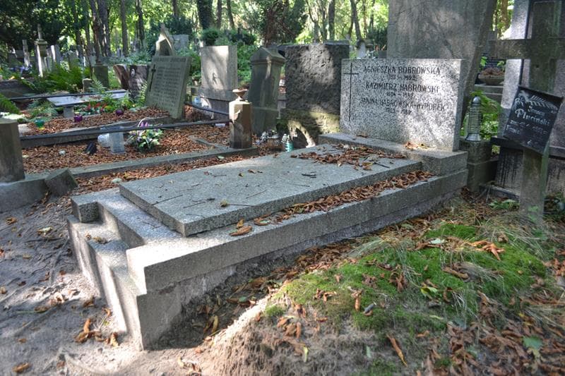 Zdjęcie grobu: Kazimierz Habrowski