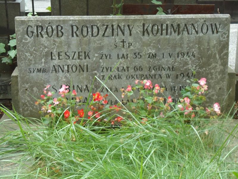 Zdjęcie grobu Antoni Kohman (2)