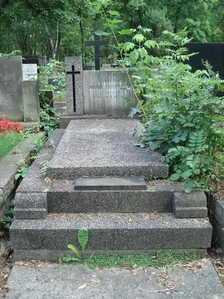 Zdjęcie grobu: Stanisław Tomaszewski