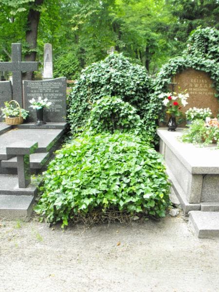Zdjęcie grobu: Anna Pierczyńska