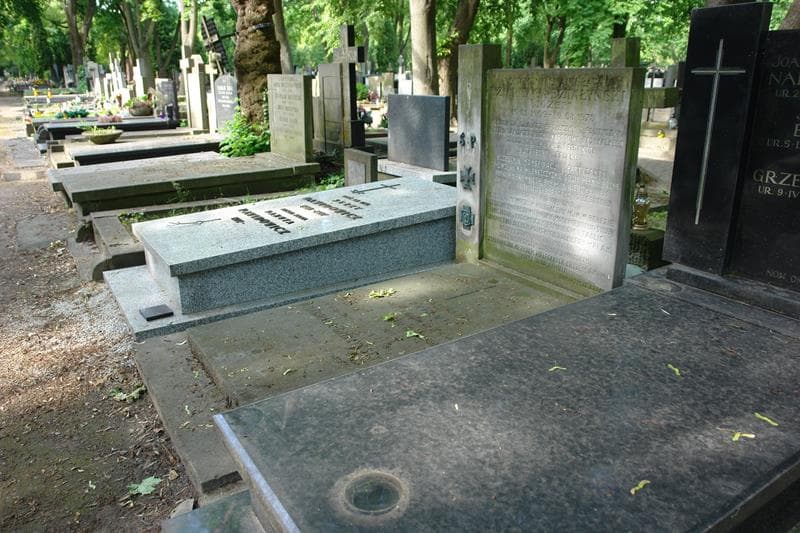 Zdjęcie grobu: Zygmunt Stanisław Dziarmaga-Działyński