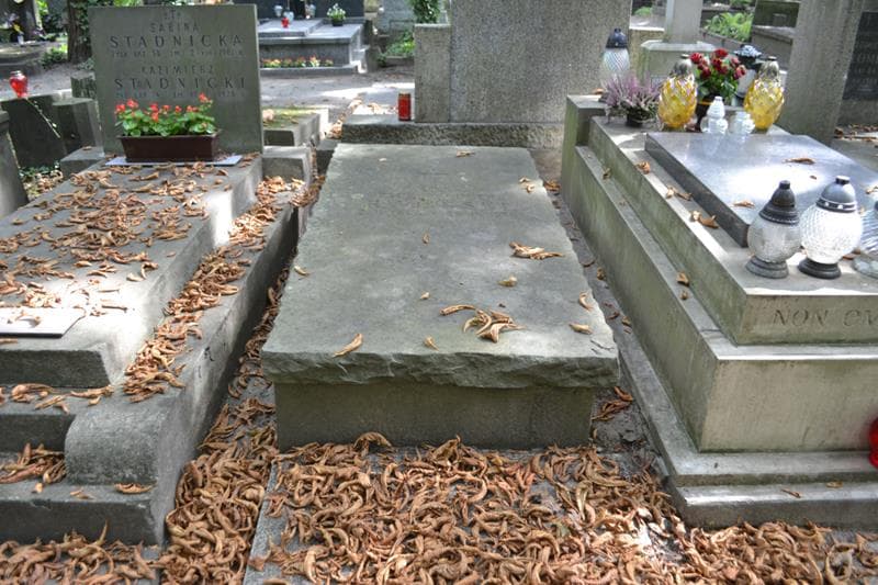 Zdjęcie grobu Józef Kazimierz Rybiński (1)