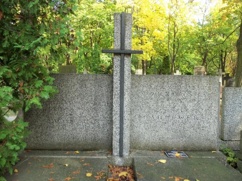 Zdjęcie grobu Stanisław Dąbrowski (2)