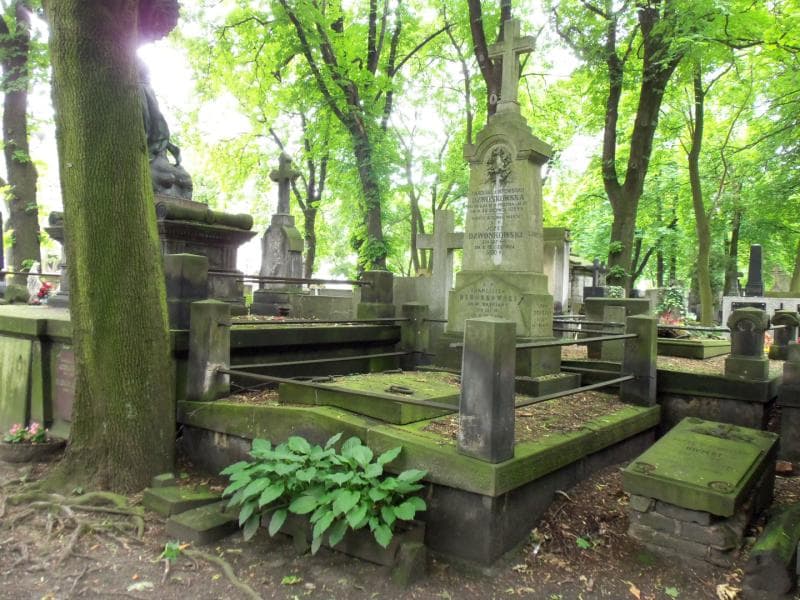 Zdjęcie grobu Józef Dzwonkowski (1)