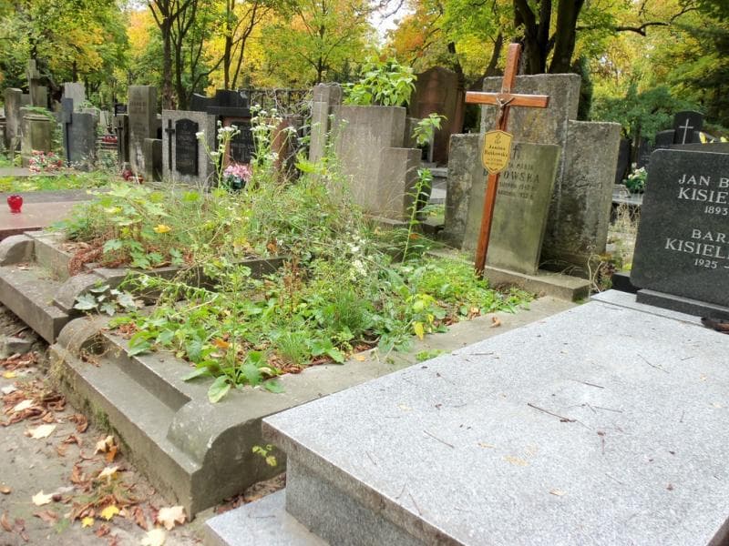 Zdjęcie grobu Janina Bańkowska (1)