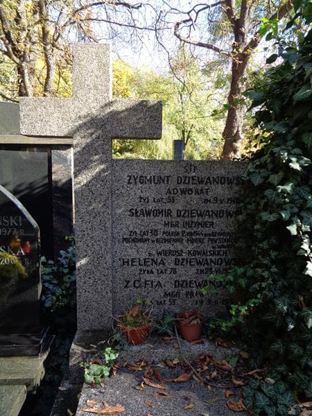 Zdjęcie grobu Helena Dziewanowska (2)