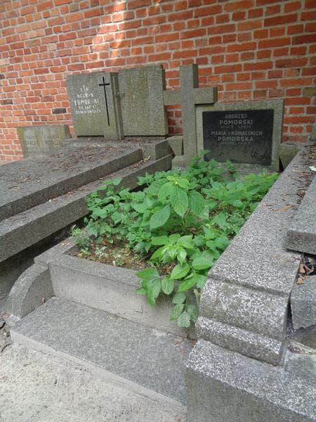 Zdjęcie grobu: Maria Pomorska