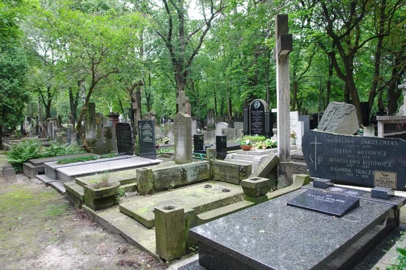 Zdjęcie grobu: Henryka Kuliczkowska
