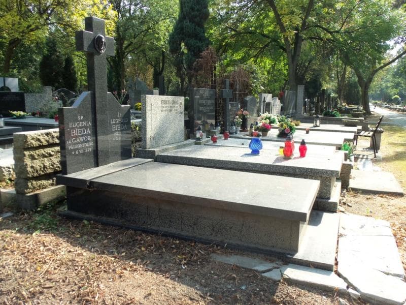 Zdjęcie grobu Bieda (1)