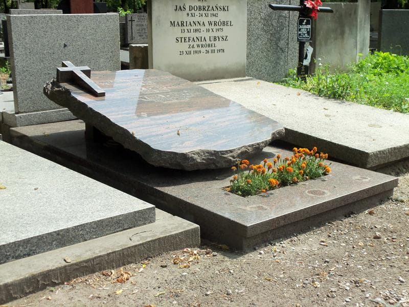 Zdjęcie grobu Emilia Orgelbrand (1)