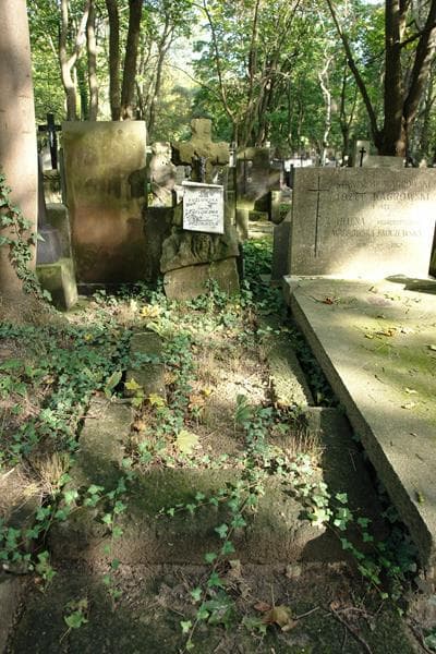 Zdjęcie grobu Janina Kozłowska (1)