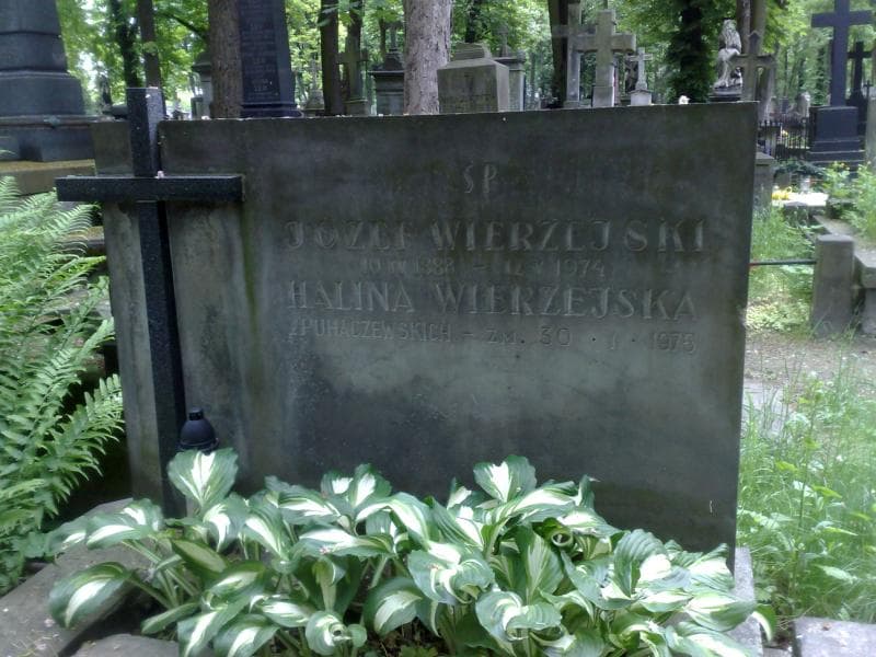 Zdjęcie grobu Izydor Lipski (1)