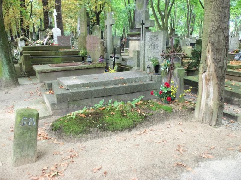 Zdjęcie grobu: Ga.... Alexandroff