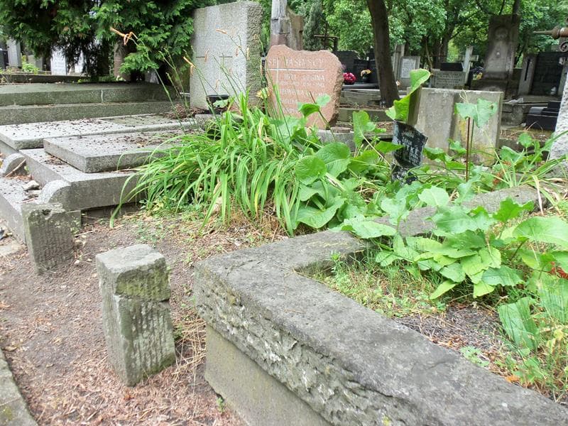 Zdjęcie grobu Zofia Klutke (1)