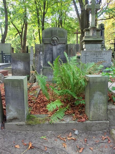 Zdjęcie grobu: Eufrozyna Urbanowiczowa