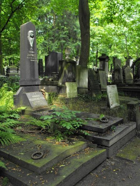 Zdjęcie grobu Cecylja Krzemieniewska (1)