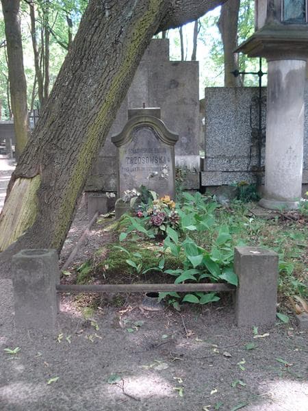 Zdjęcie grobu: Emilja Trzosowska