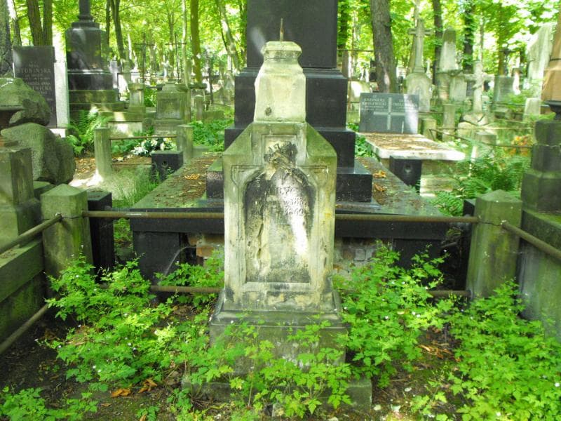 Zdjęcie grobu Maurycy Dąbrowski (1)