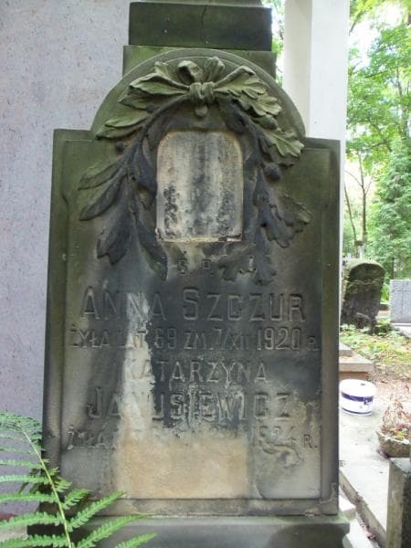 Zdjęcie grobu Katarzyna Janusiewicz (2)