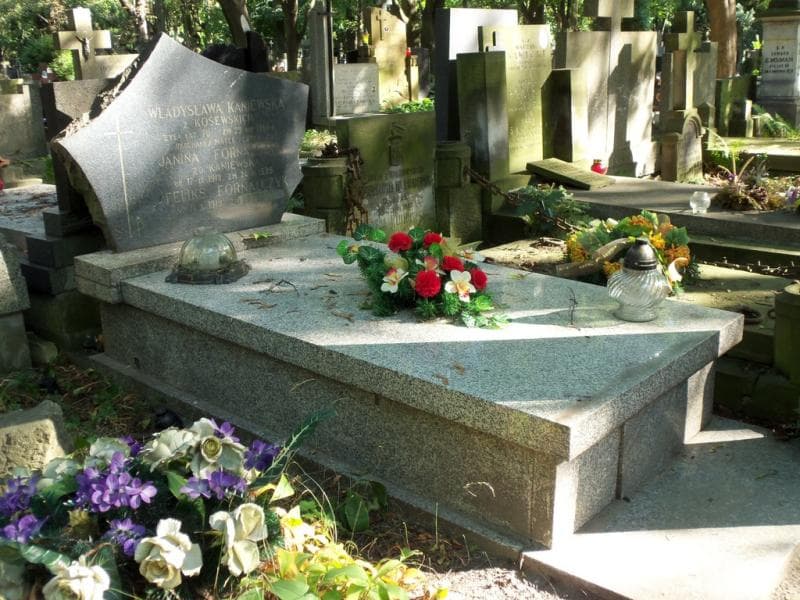 Zdjęcie grobu Janina Fornalczyk (1)