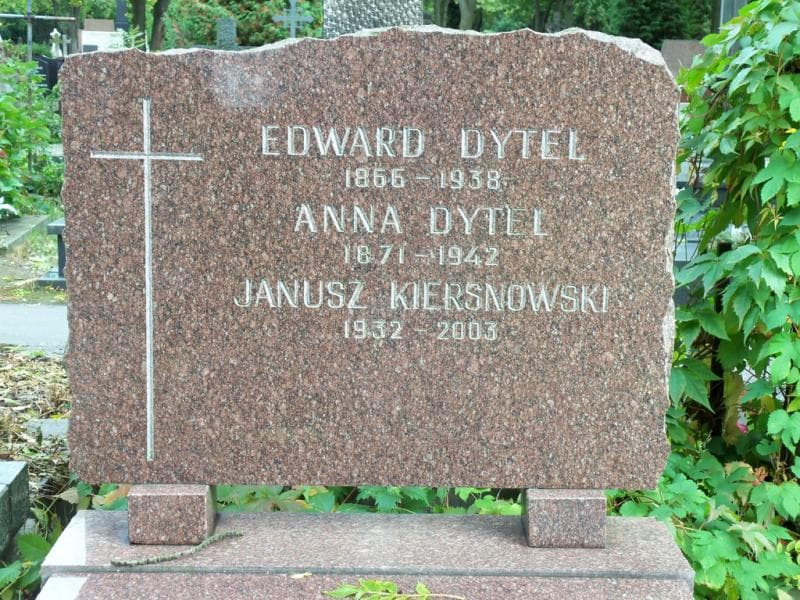 Zdjęcie grobu Anna Dytel (2)