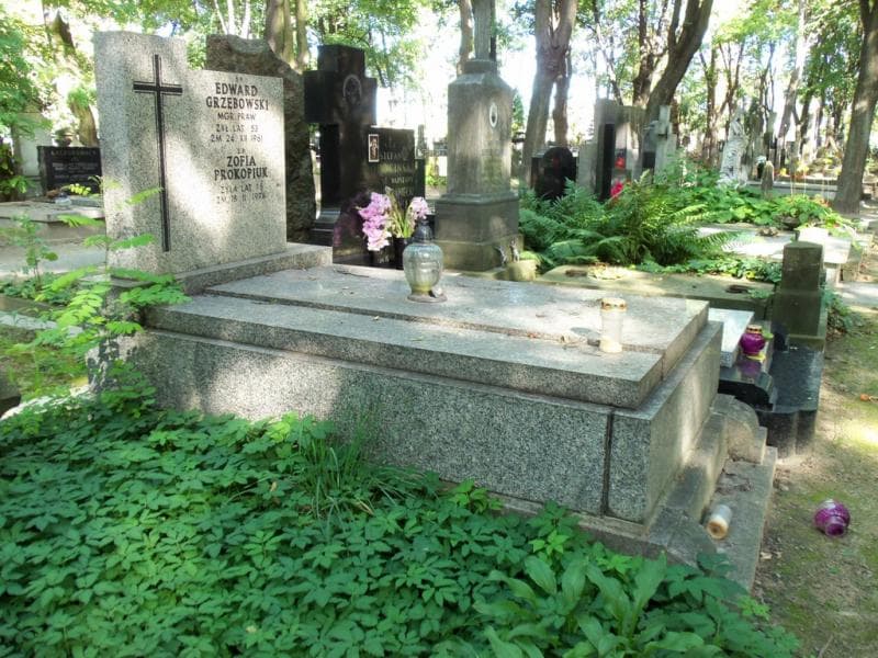 Zdjęcie grobu Edward Grzębowski (1)