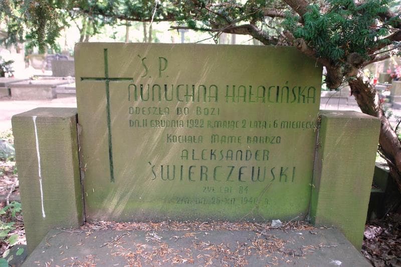 Zdjęcie grobu Nonuchna Hałacińska (2)