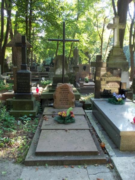 Zdjęcie grobu: Marjanna Dębska