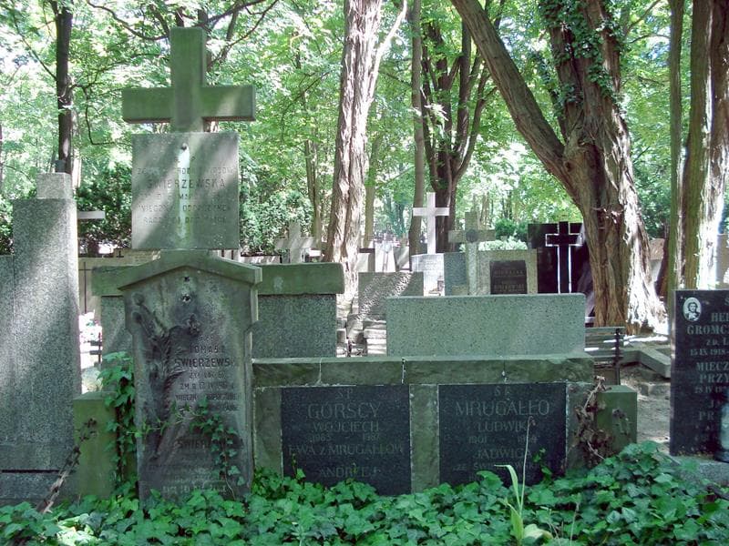Zdjęcie grobu Wojciech Górski (1)