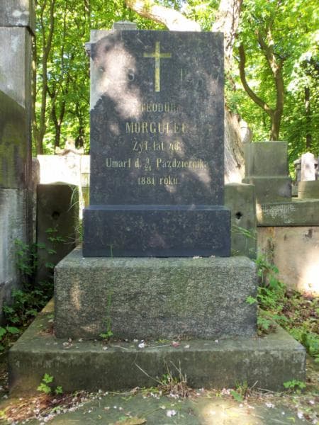 Zdjęcie grobu Leontyna Narwojszowa (2)