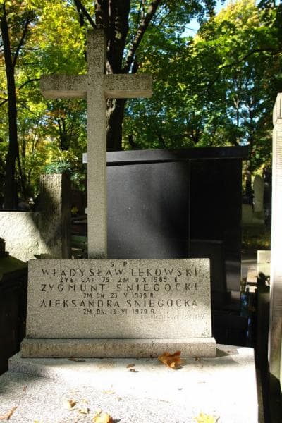 Zdjęcie grobu Władysław Lękowski (2)