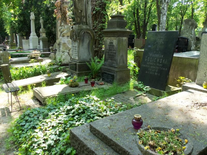 Zdjęcie grobu Władysław Gosiewski (1)